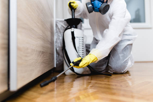 Best Mosquito Control Services  in Buffalo, MO