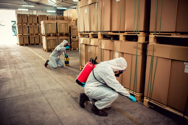 Best Ant Control Services  in Buffalo, MO