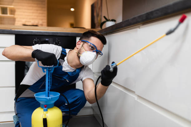Professional Pest Control in Buffalo, MO