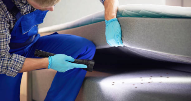 Best Bed Bug Extermination  in Buffalo, MO