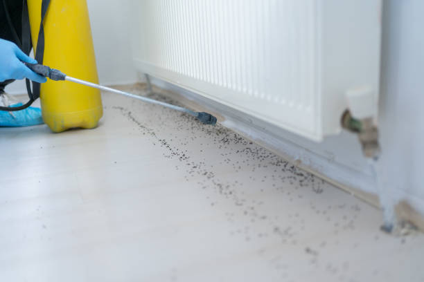 Best Affordable Pest Control Services  in Buffalo, MO