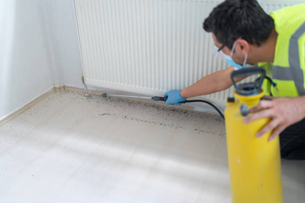 Best Local Pest Control Services  in Buffalo, MO
